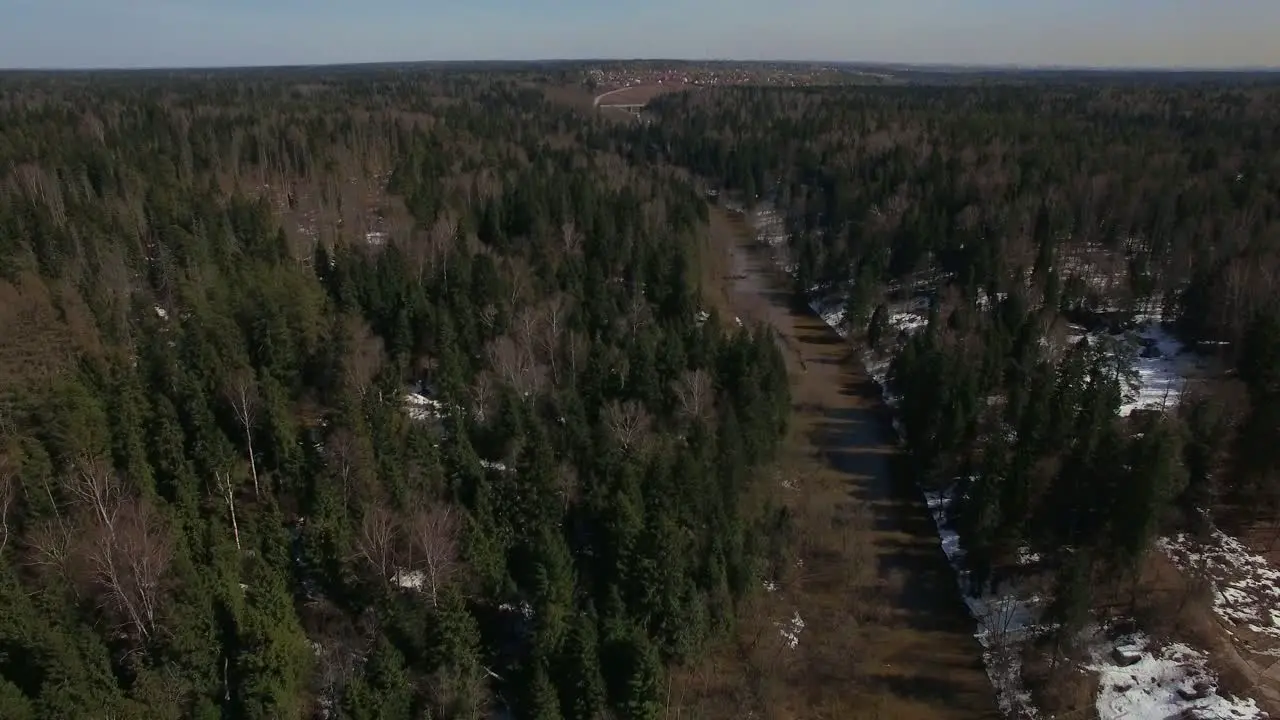 Aerial spring season in a forest