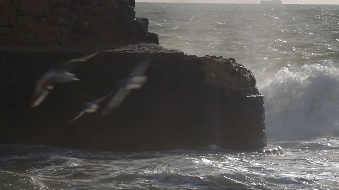 Ancient city walls and rough sea Acre Israel