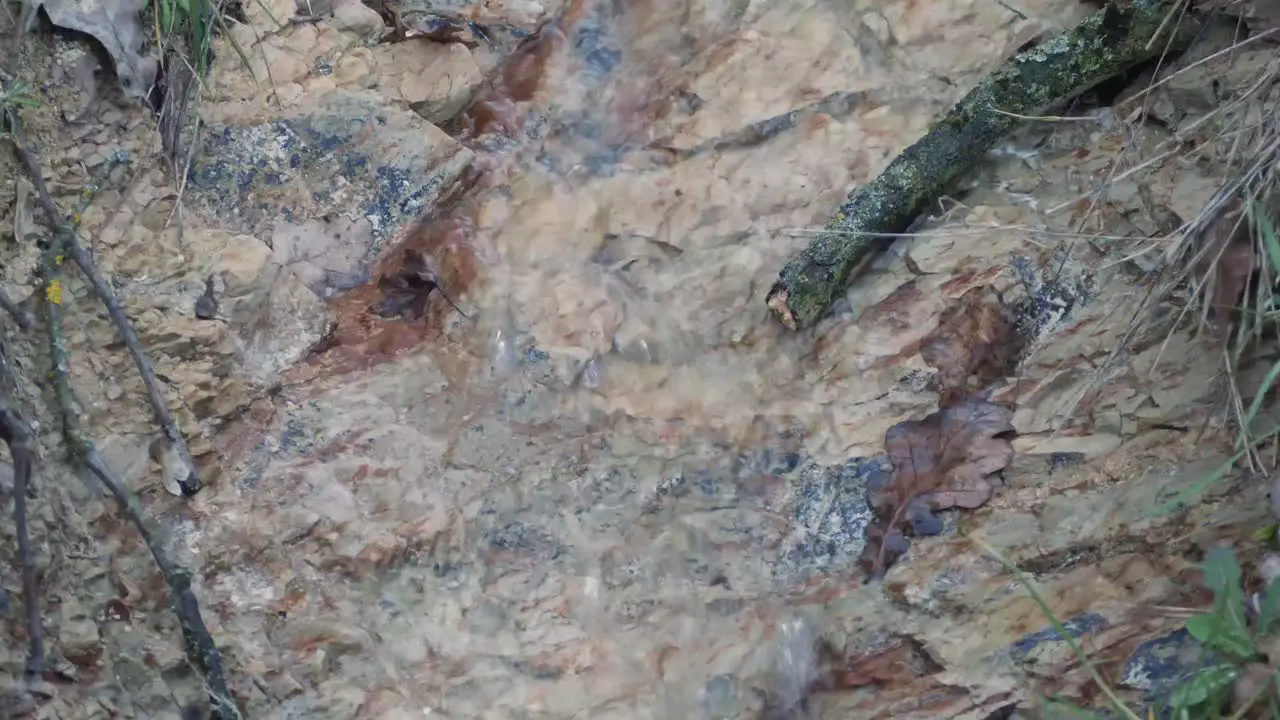 Flowing water from the pond near the forest