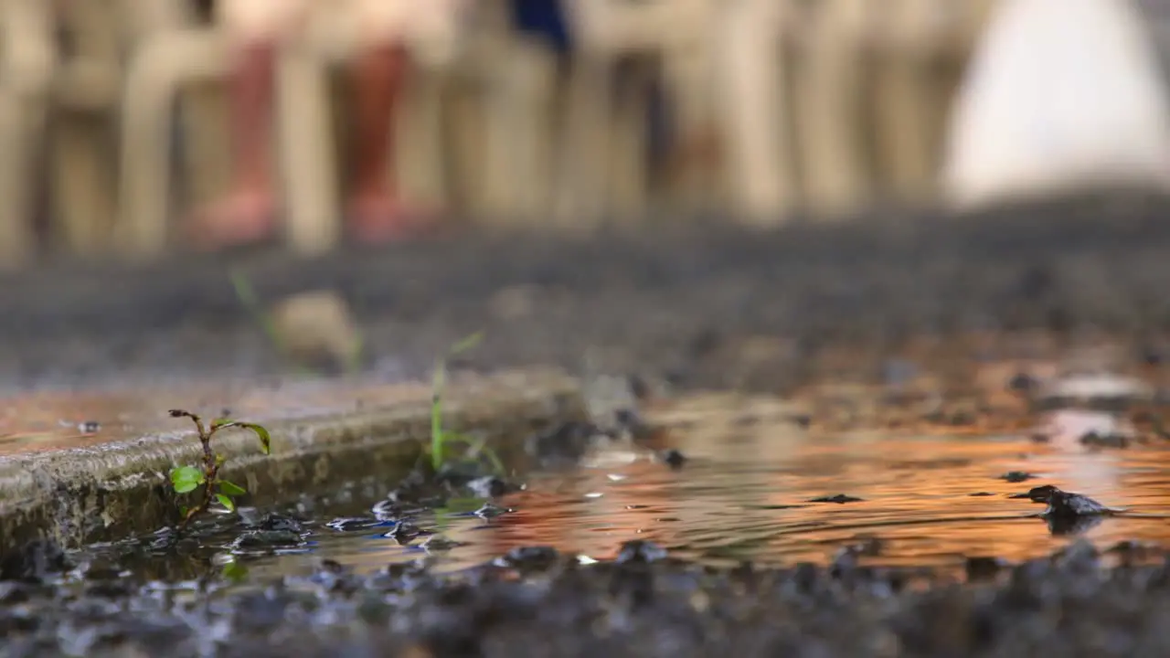 Close-up of water drops landing in a small puddle with small weeds growing from the ground in Koror Palau in slow motion