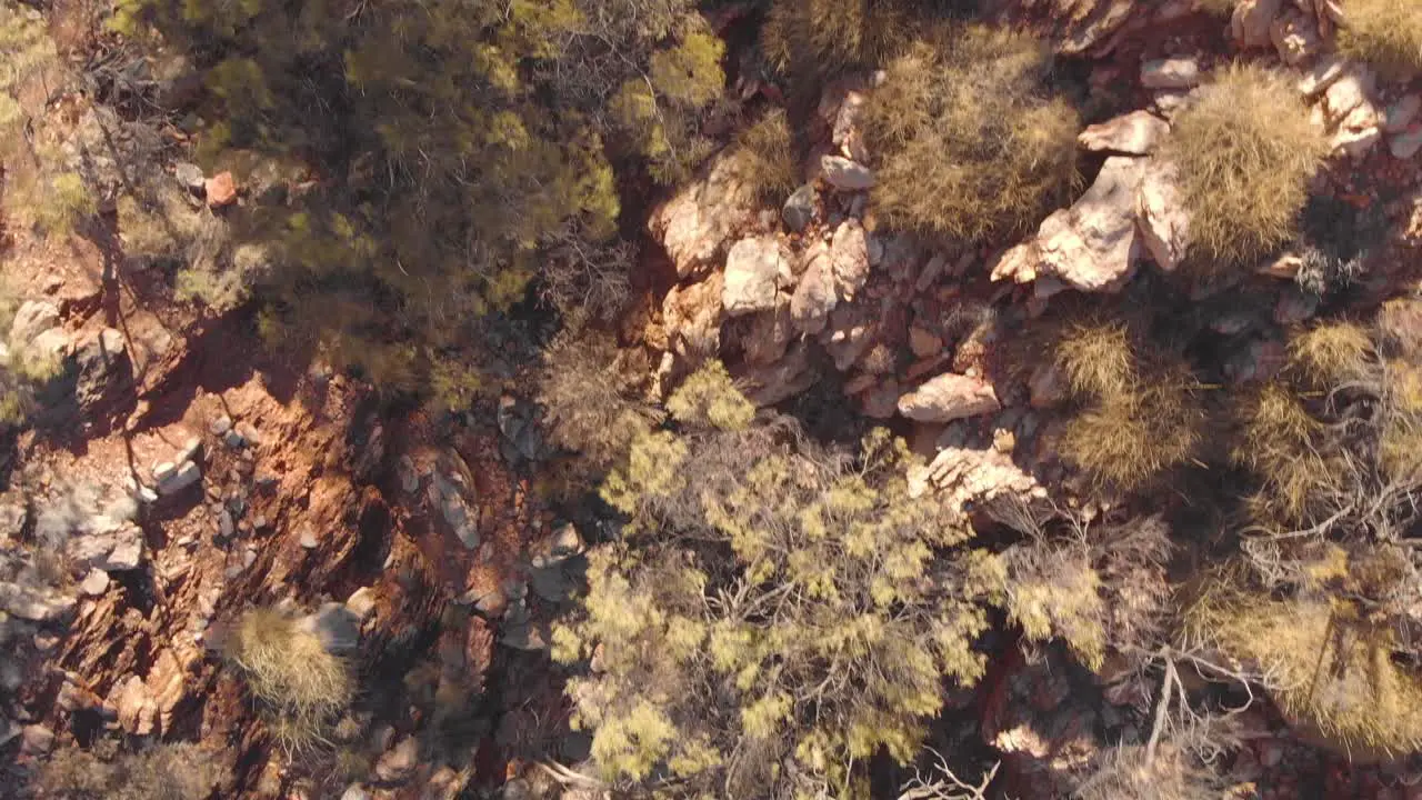 Aerial overhead Rocky ground and native bush Australia