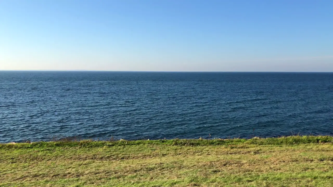 Sea horizon at the edge of a green field