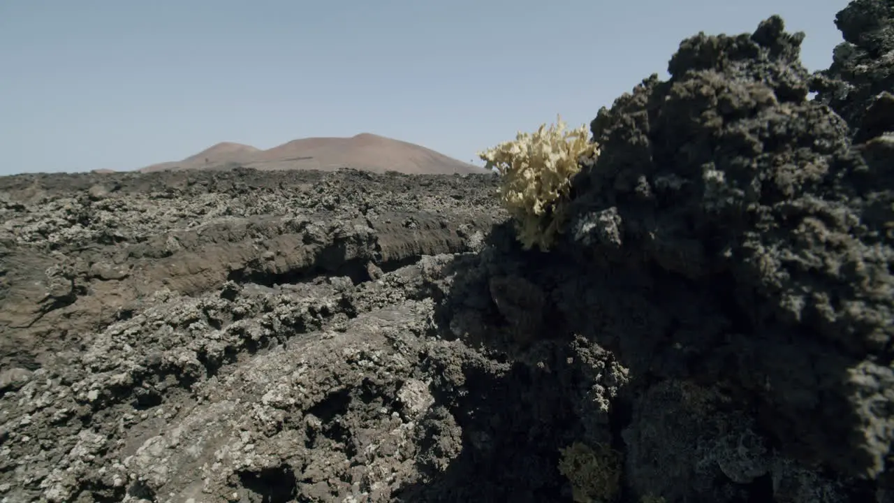 Grey and dull landscape with lava rocks Lanzarote Canary Islands