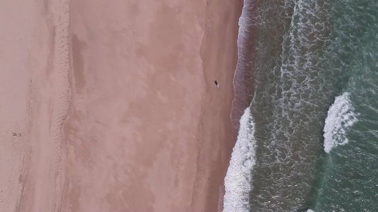 Drone Pedestal Shot Single Male Fisherman on Rough Wavey Cape Cod Summer Beach