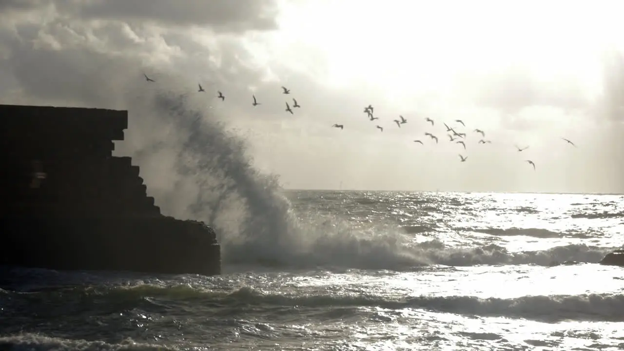 Skyline seascape with flying sea-gulls and ancient wall