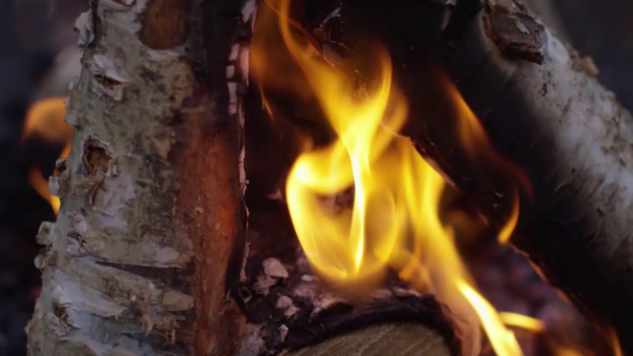 Burning Logs Slow Motion 4K 12