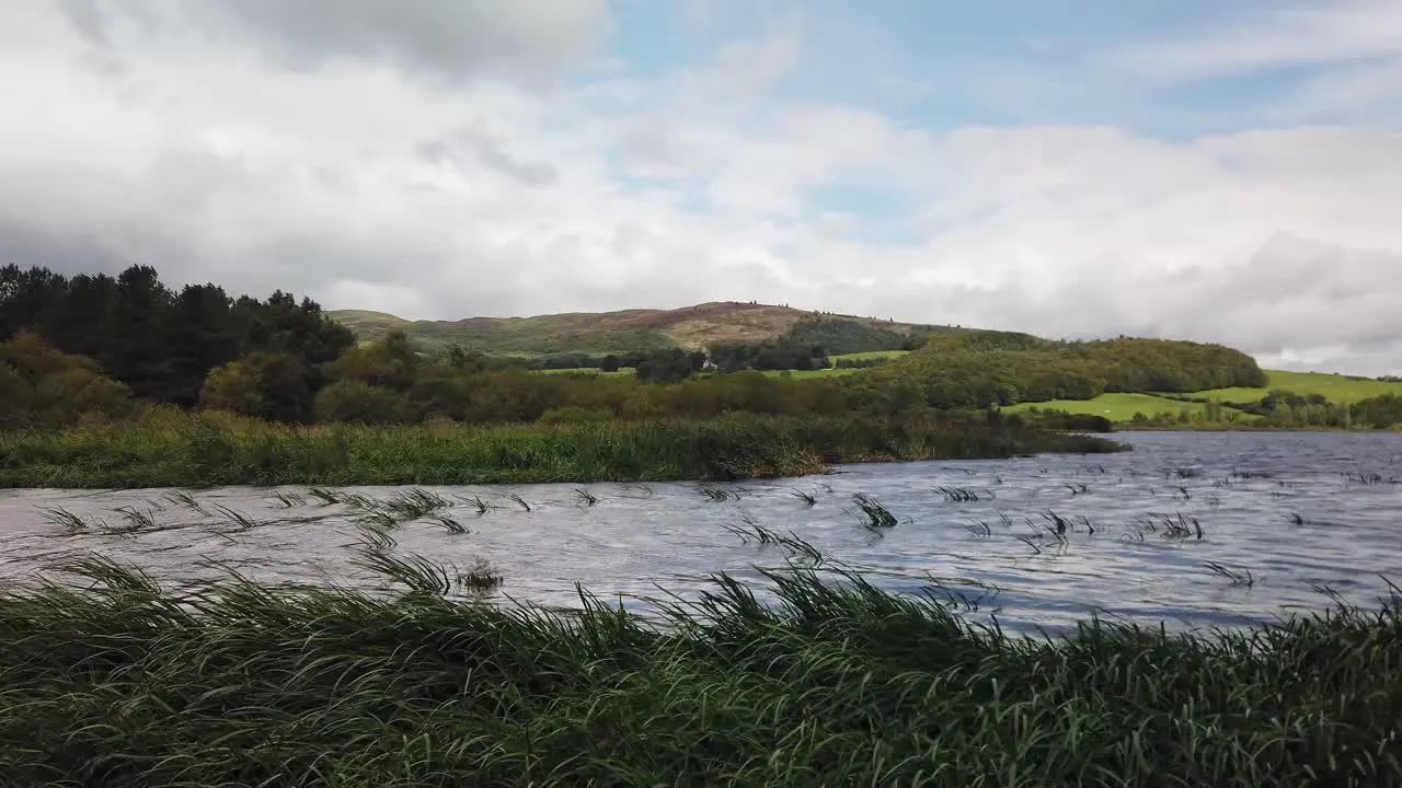 Windblown waves in a Scottish Loch with waving grass and reeds