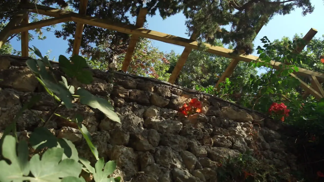 Footage of a stonewall with plants growing at Stoupa Greece