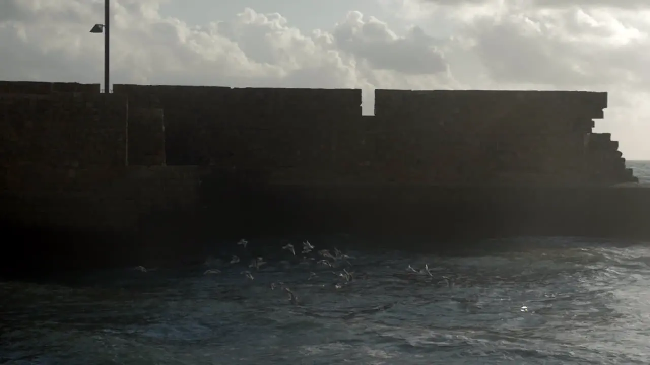 Waterscape with sea-gulls wavy sea and ancient city wall