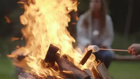 Close Up Shot of a Marshmallow On a Stick In a Campfire