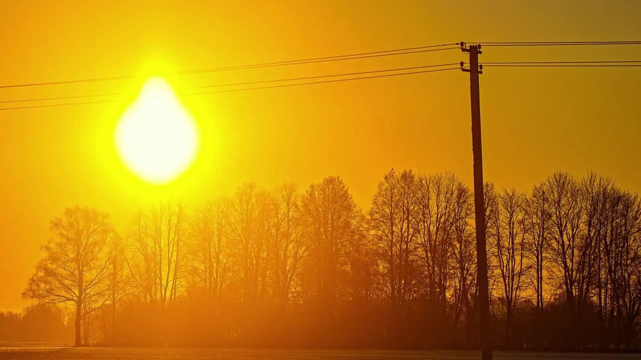 Timelapse shot over trees of golden sun rising in the bright yellow sky along morning time