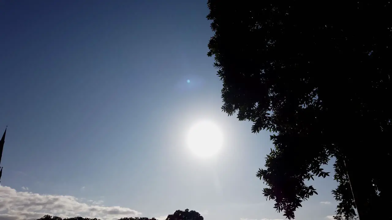 Super bright sun with silhouette tree and blue sky slow motion Sydney