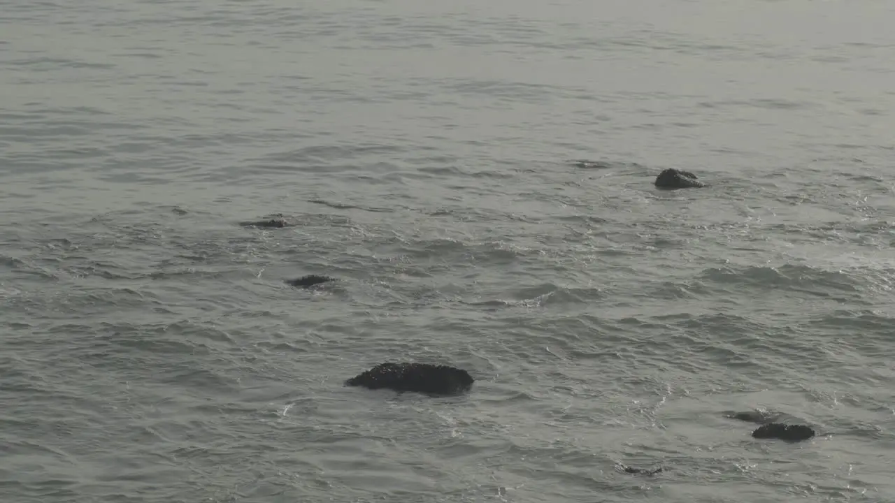 Ocean rocks submerged in the wild wave waters of beach Big Rock Malibu at golden hour