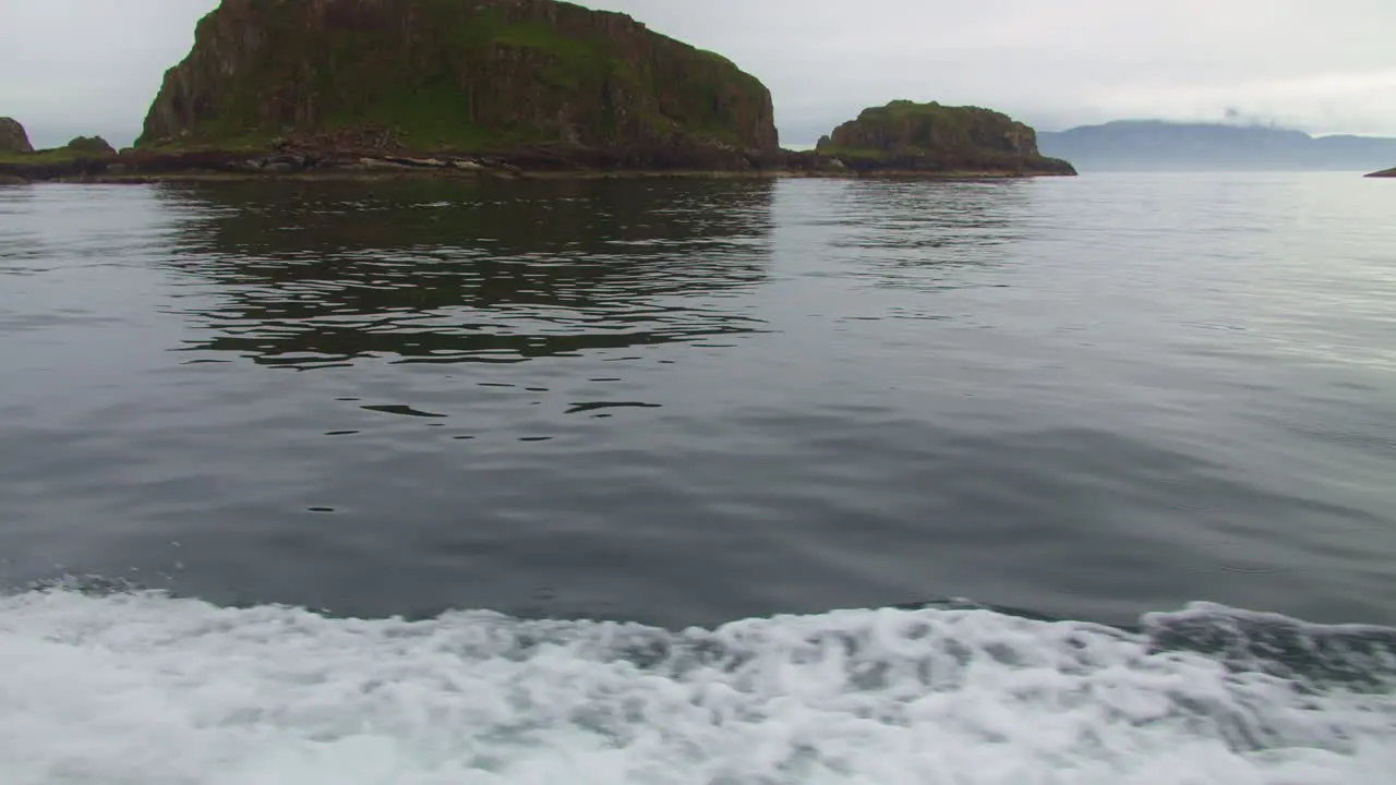 Bottlenose Dolphin Swimming Along A Sailing Boat In The Sea In Scotland