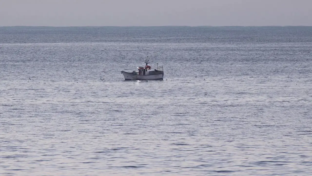 Wide view of the fishing boat followed by a flock of seagulls in the blue ocean in the Atlantic sea on the coast of São Pedro do Estoril on a sunny day in Cascais Portugal