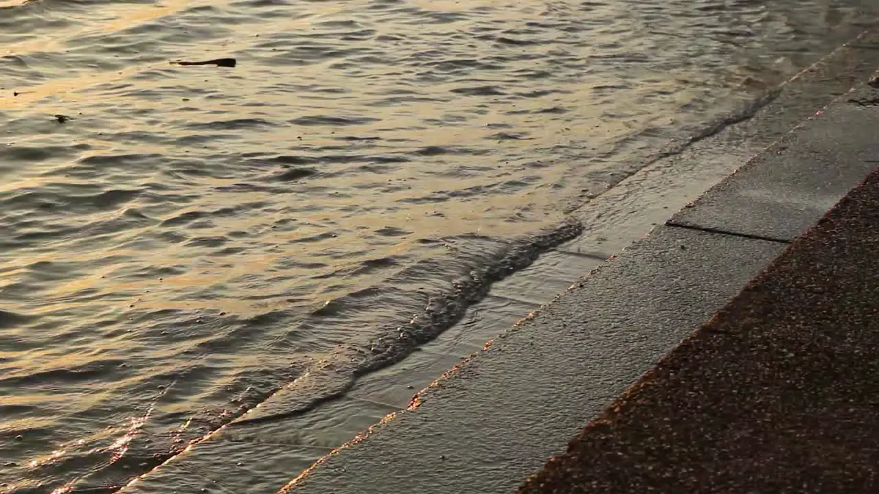 Waves in the river hitting the shore