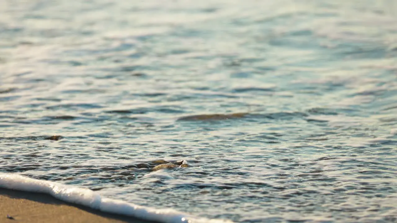 Slow motion close up of showing flooding leaf of ocean waves during sunny day at beach