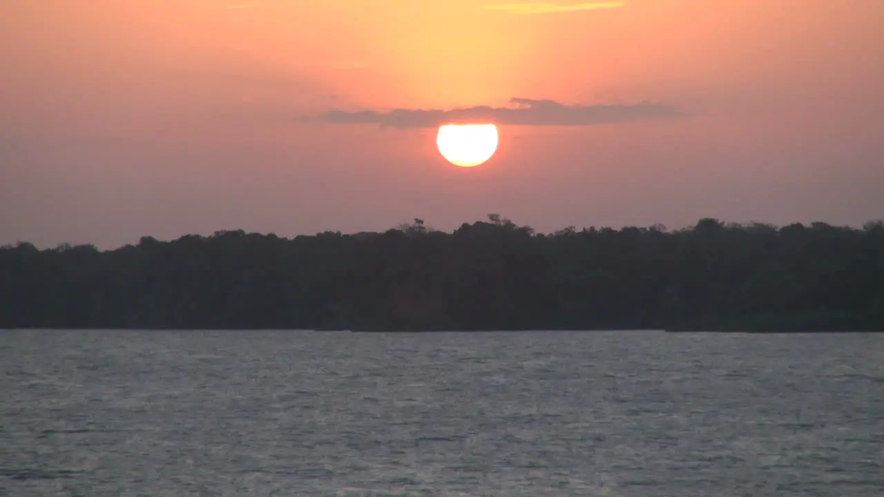 Amazon sunset above forest