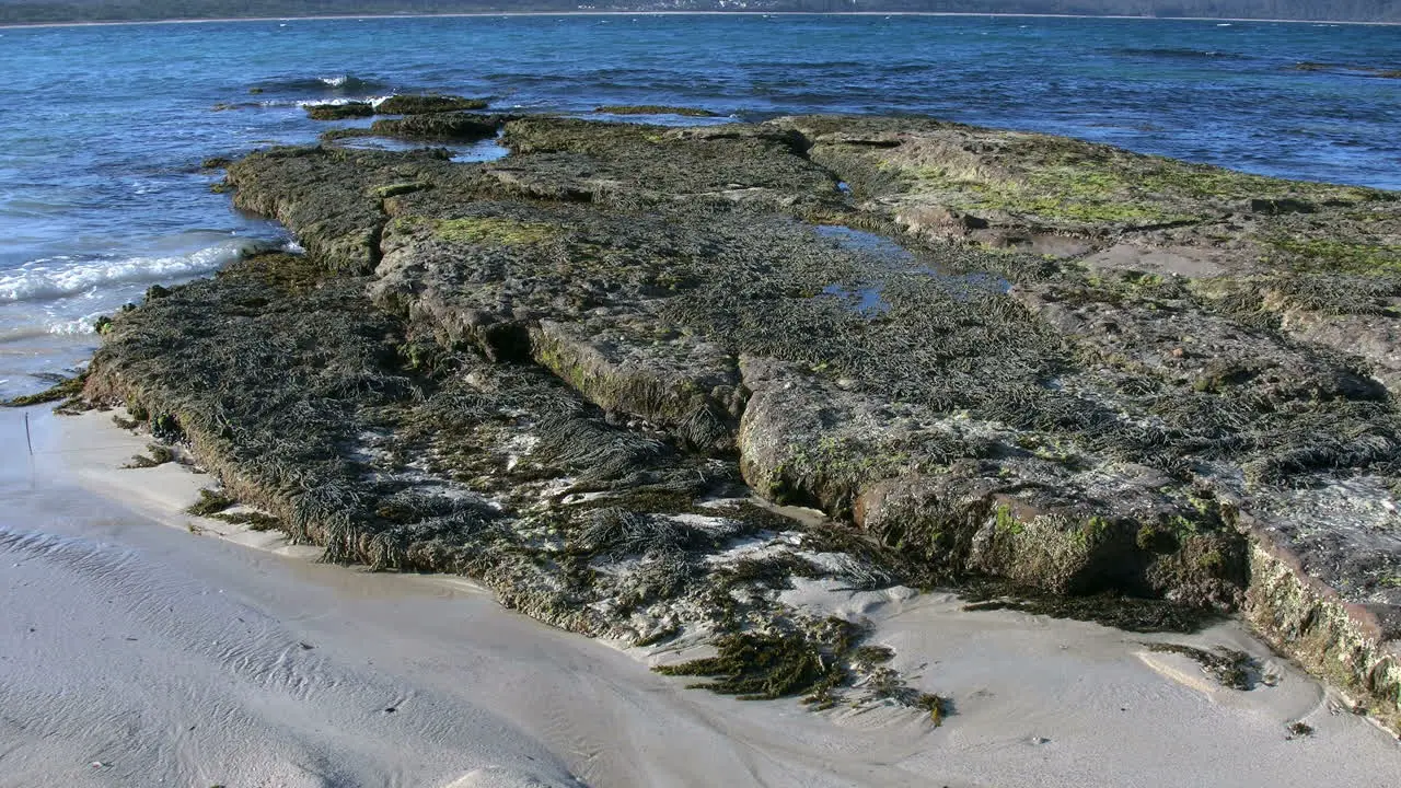 Australia Murramarang Beach Low Tide Rocks