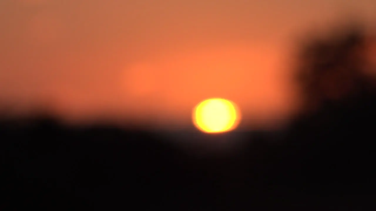 California soft focus sun