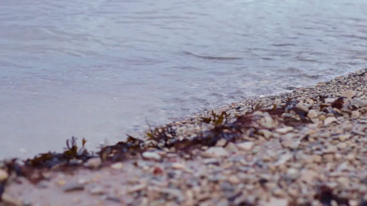 Static close up rack focus of small waves rippling and breaking on a gravel beach with seaweed on the sand in Latvia on the Baltic Sea