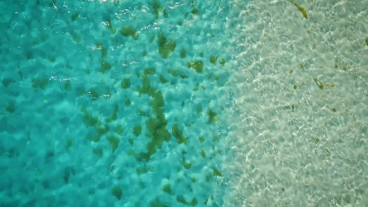 Drone clip flying over a clear blue Caribbean Sea in Los Roques Venezuela