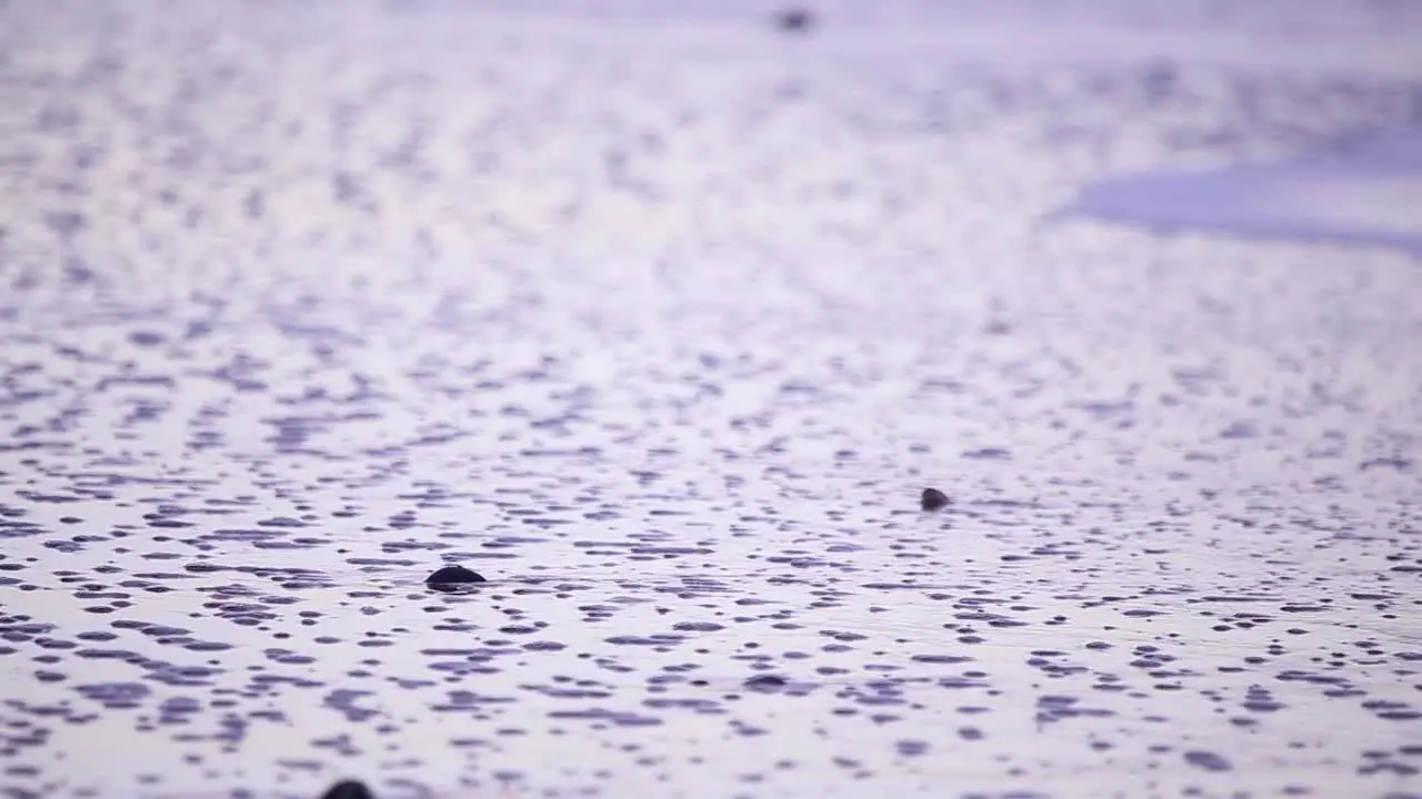 Waves Over Sand at Dusk