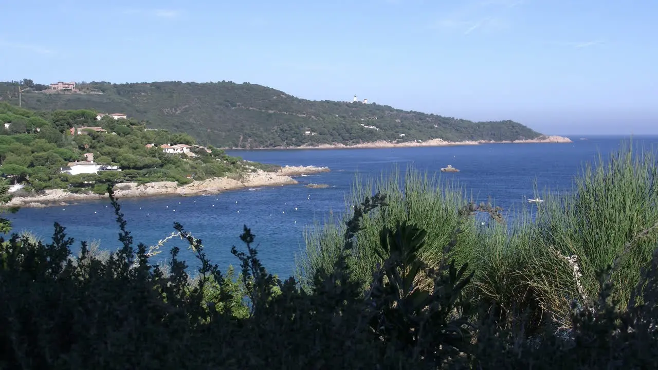 France Cote de Azur foreground plants