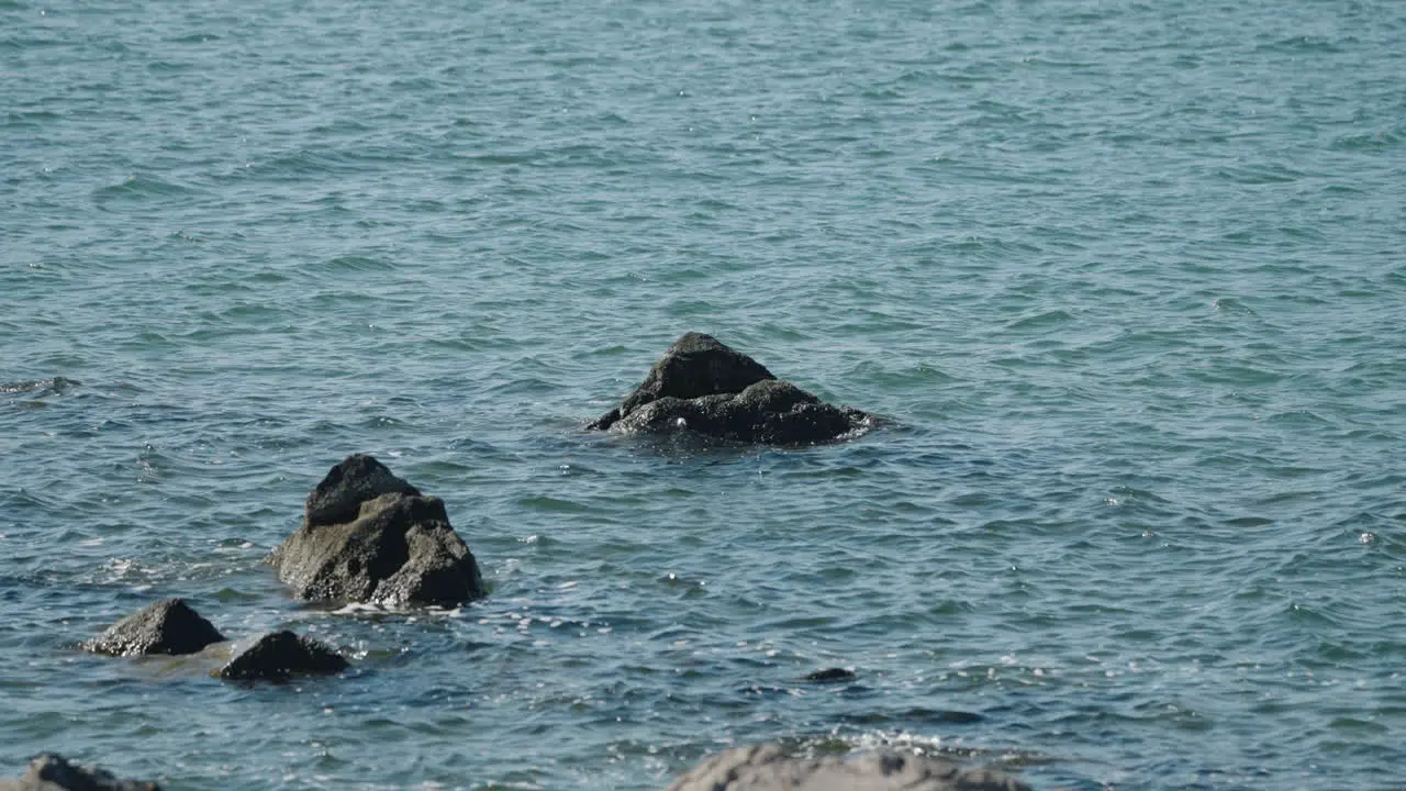 A fixed slow motion shot of gentle waves lapping against the rocks on the coast