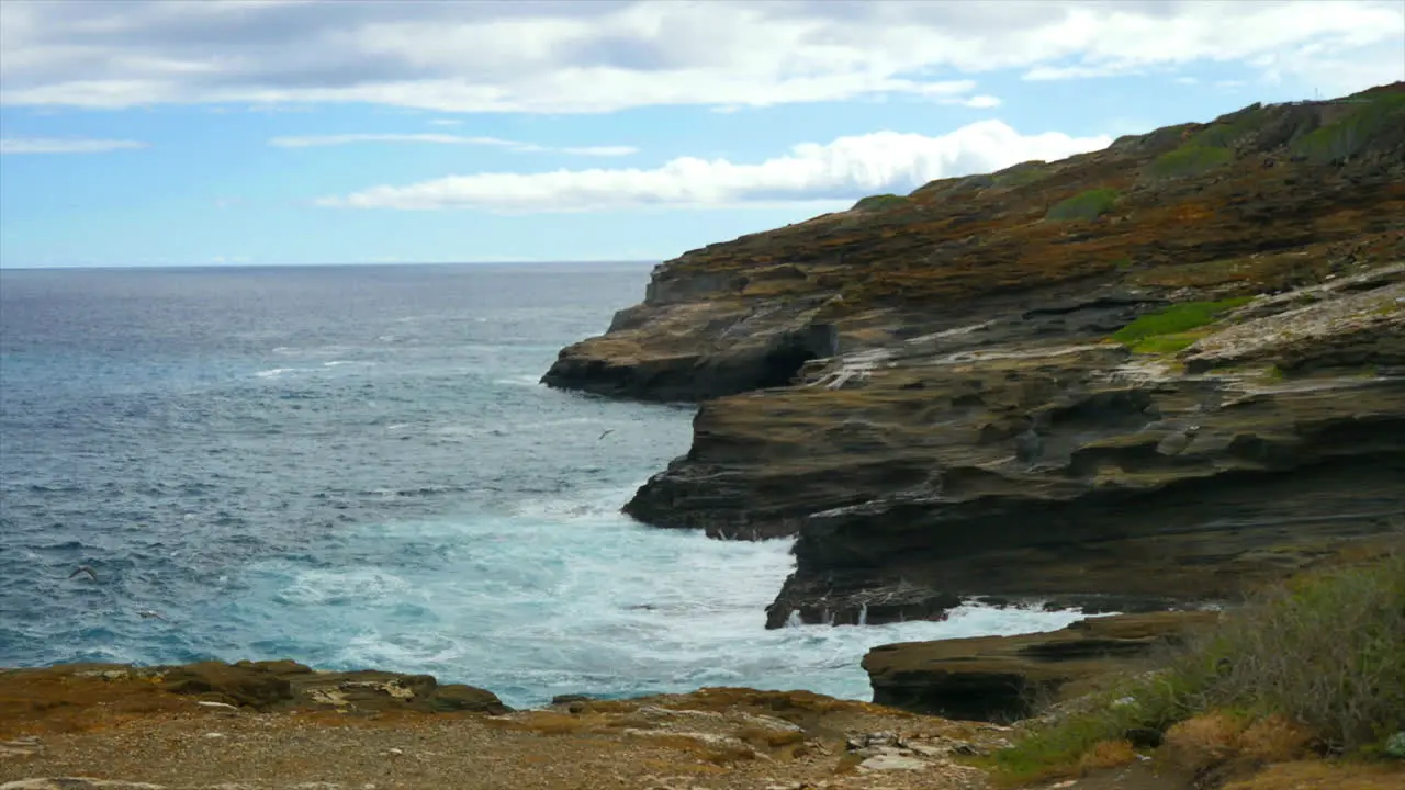 Oahu Coast With Waves And Birds Flying