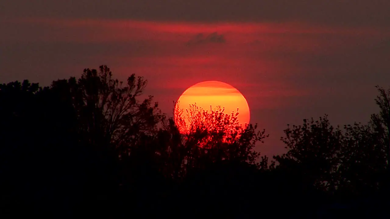 Indiana sun sinking behind trees