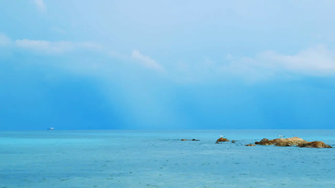 Calm before the storm seagulls on rock in Caribbean Sea during rain season