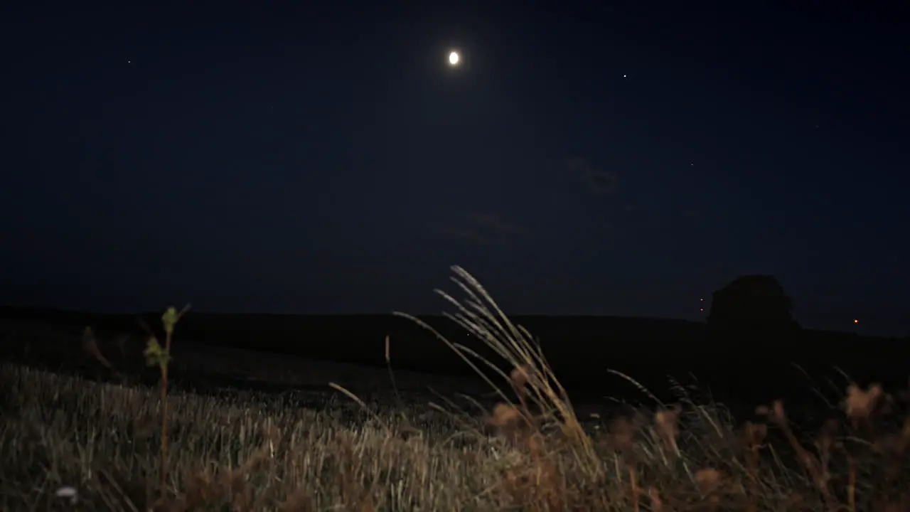 Night view over a secluded field illuminated by the moon