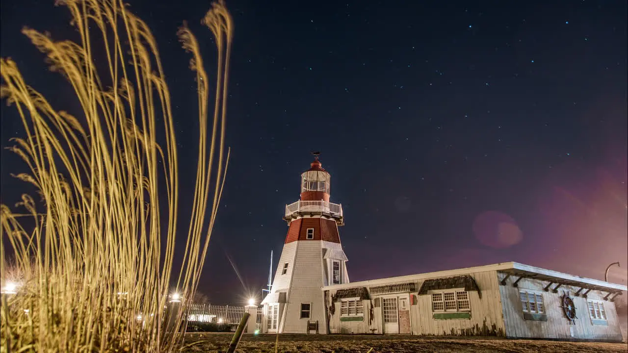 Timelapse of a beautiful starry night sky behind a marina lighthouse and cat tails blowing in the wind