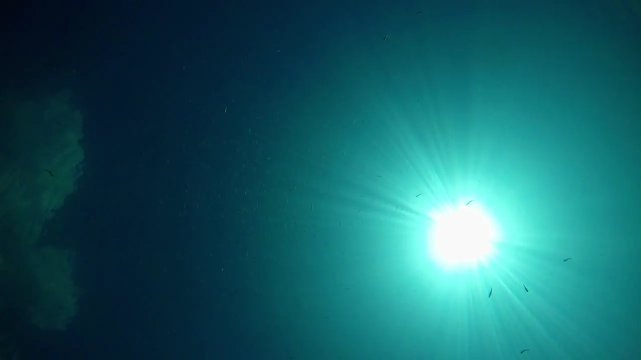 Sun shot from bottom of a lake with clear and transparent blue water