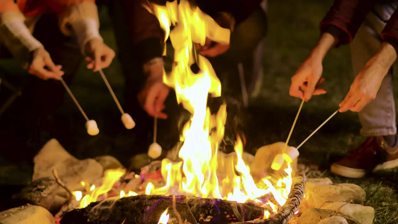 Close up of friends roasting marshmallows on camp fire