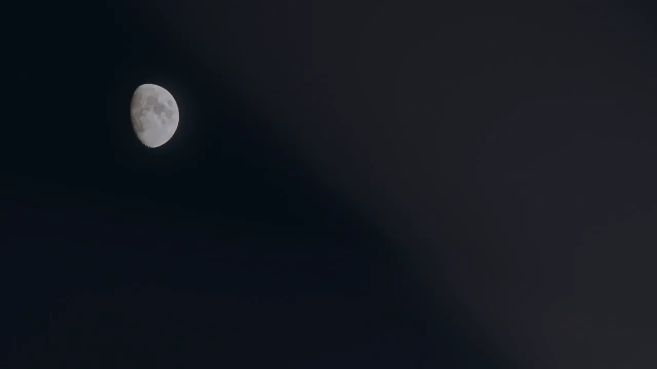 Moon on a dark summer night with some grain moving slowly in the blurry foreground