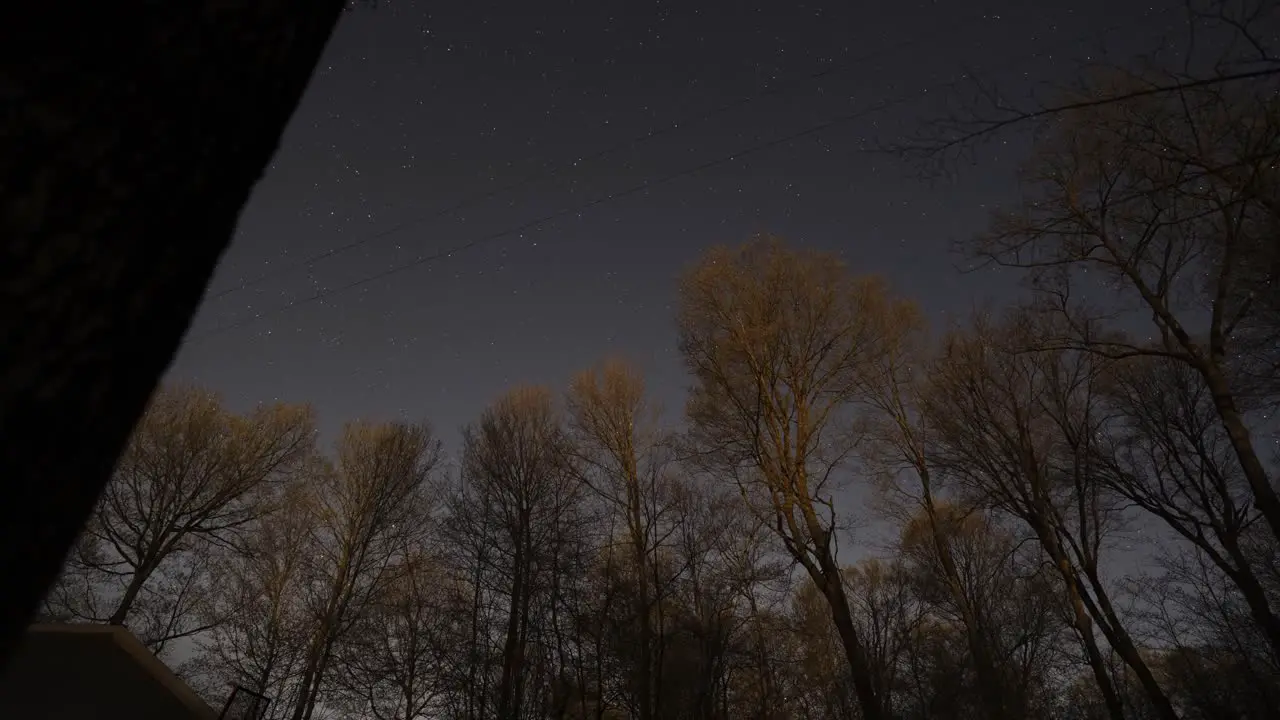 Night Sky Stars Timelapse Over Silhouetted Forest Trees