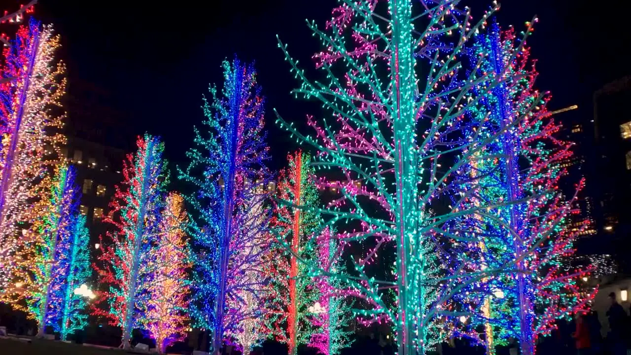 Colorful Winter Festival Light Trees Timelapse