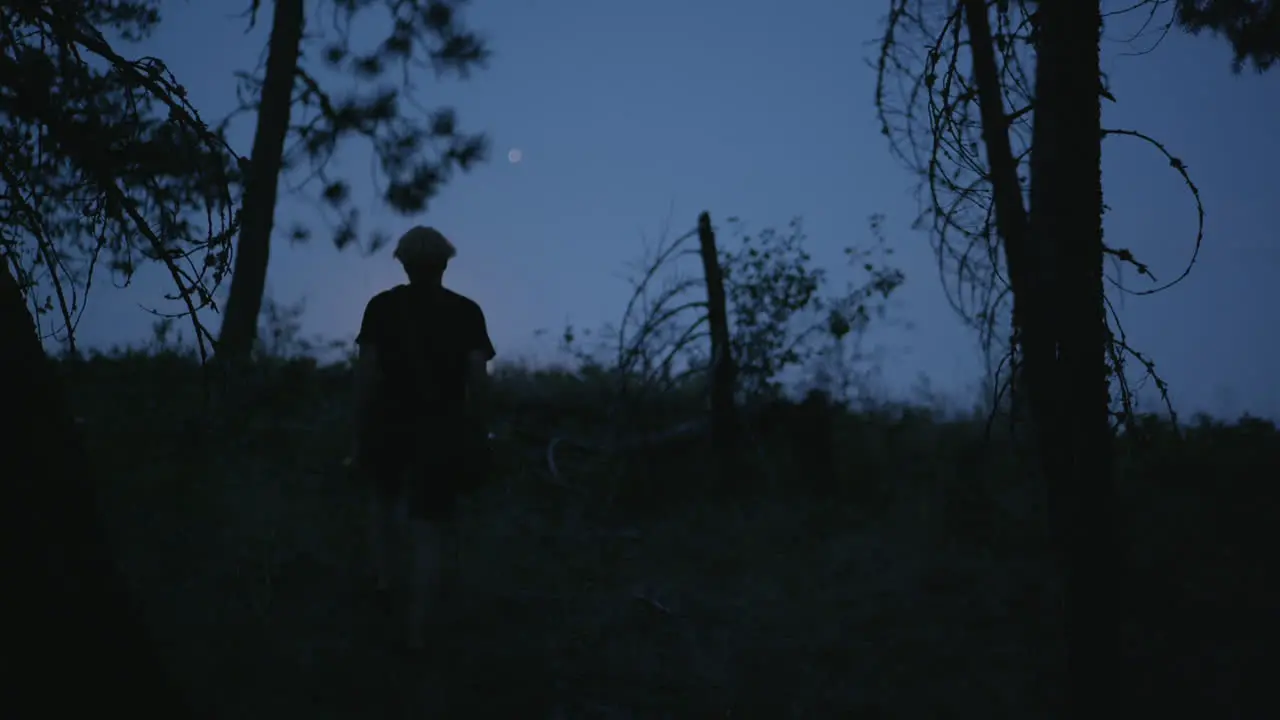 Silhouette of person walking up hill at night with trees and moon