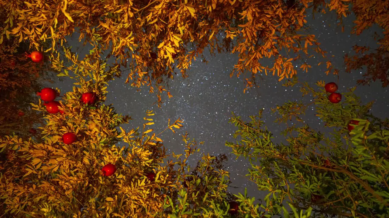 Stars are rotating in the night sky in Iran Persian folklore literature local people sleep outside in the pomegranate garden orchard in autumn harvest season to pick fruits and watch andromeda galaxy