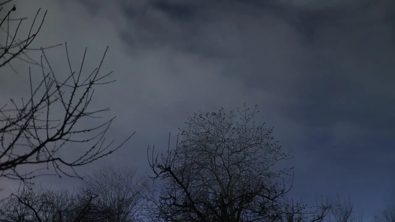 Clouds Moving In The Sky Over Trees With Strike Of Lightning At Night