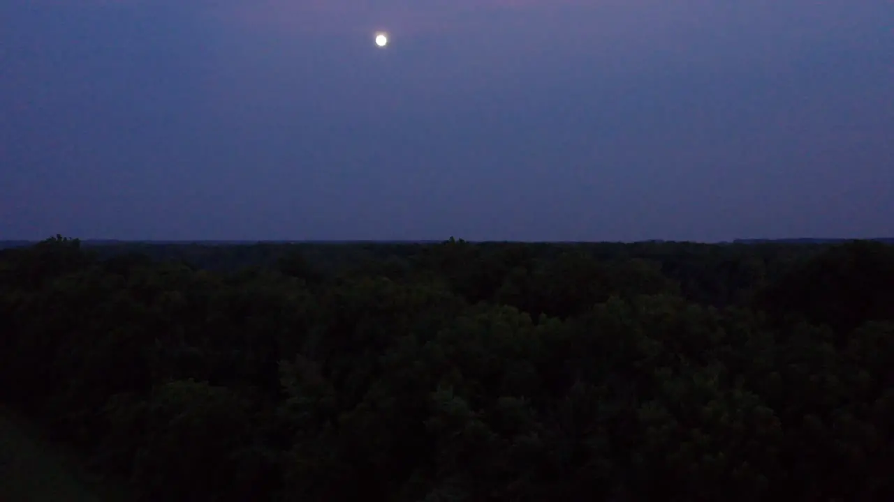 Silhouetted trees sit beneath bright full moon in the night sky drone aerial