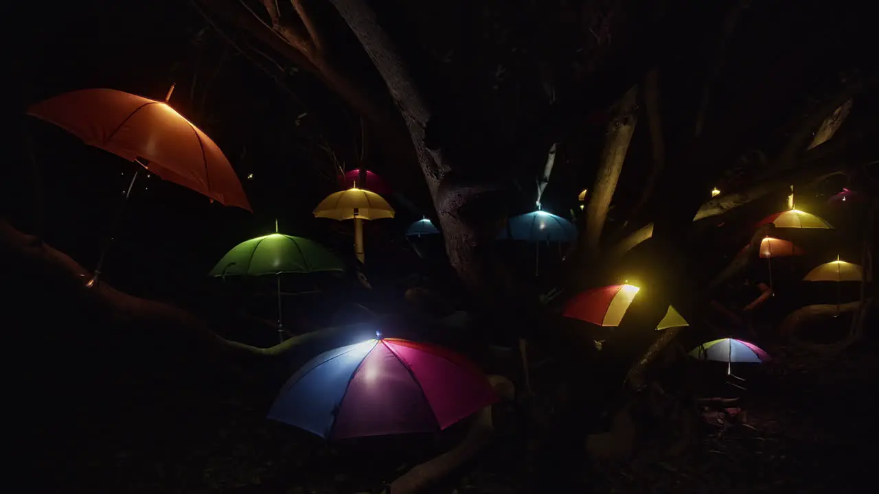 Colourful Night Glow Light Art Display of Umbrellas Outside in Trees at Heligan Cornwall-panning shot