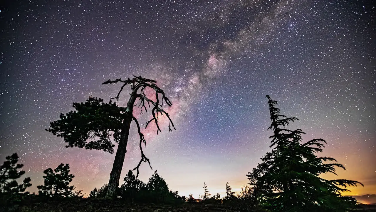 Impressive timelapse of the sky and the milky way with trees backlit