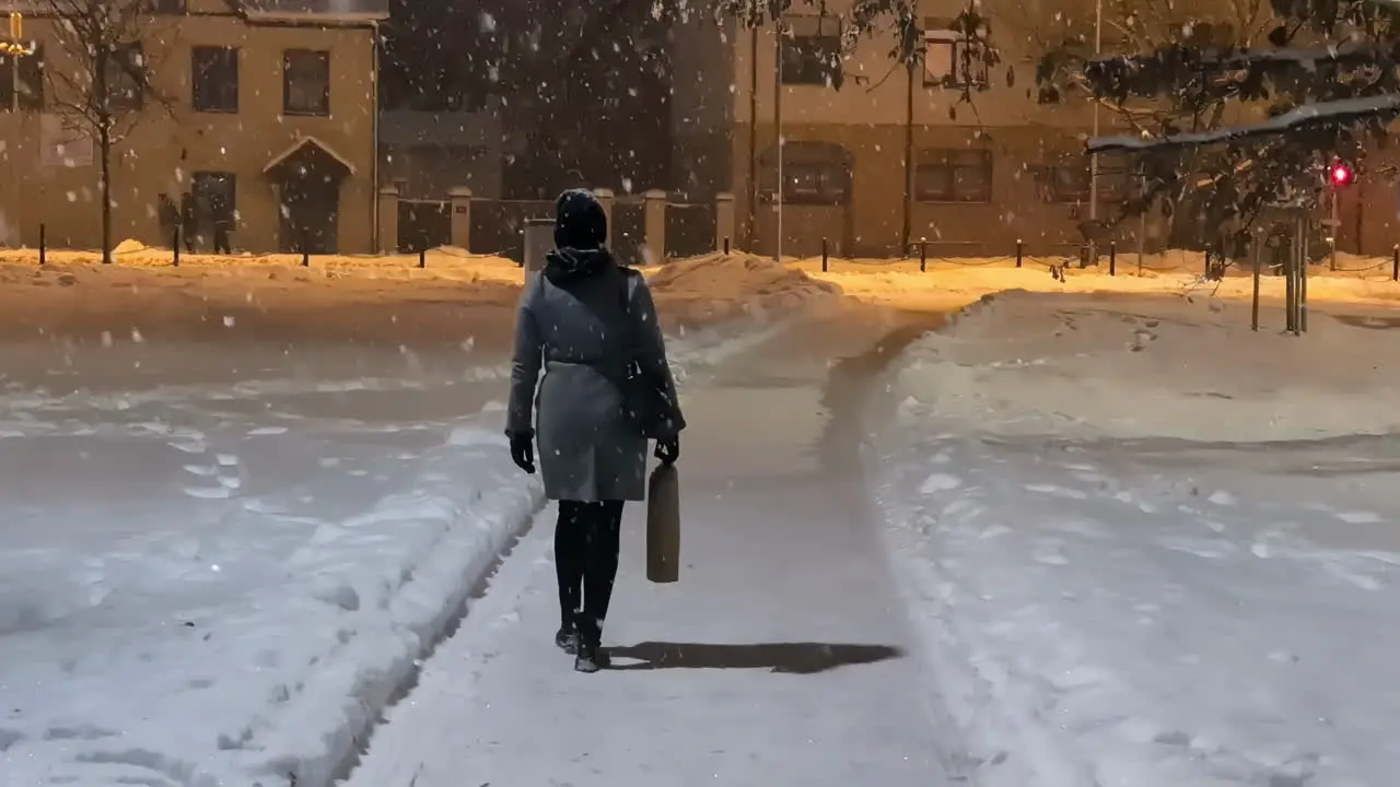 Lonely female figure in the alley of the winter park in the evening during snowfall