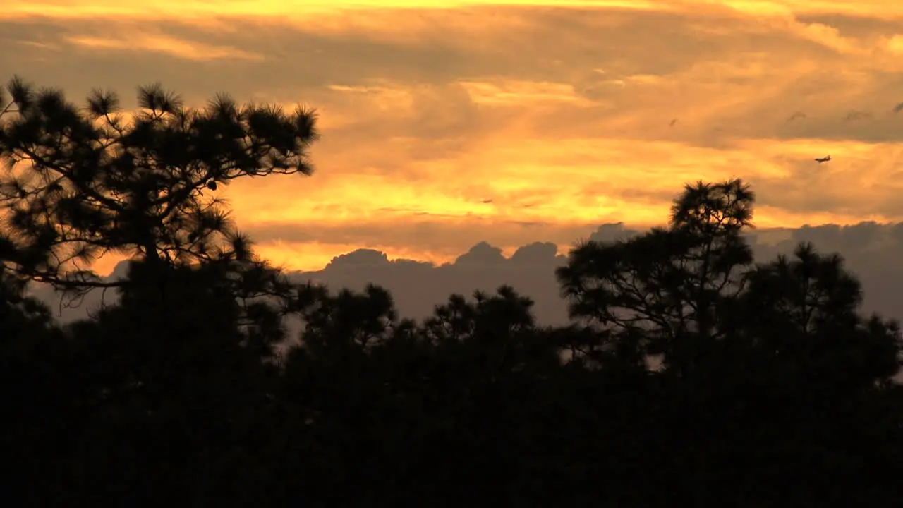 Florida sunset with plane