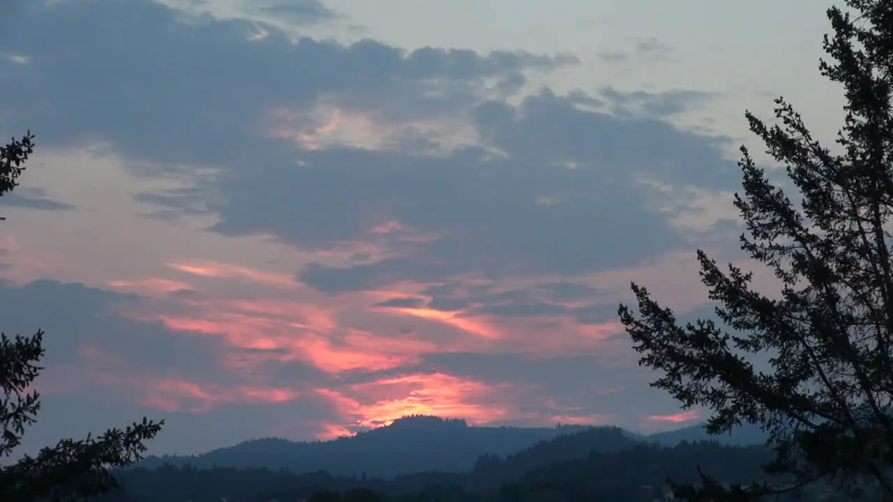 California Tree Branches And Sunset Over Hills