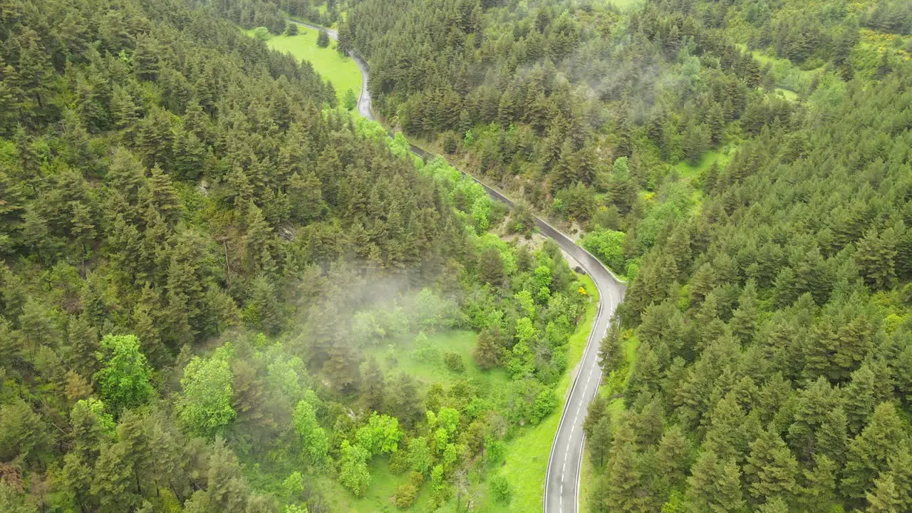 Luftaufnahme Einer Kurvenreichen Bergstraße Zwischen Pinien In Den Pyrenäen