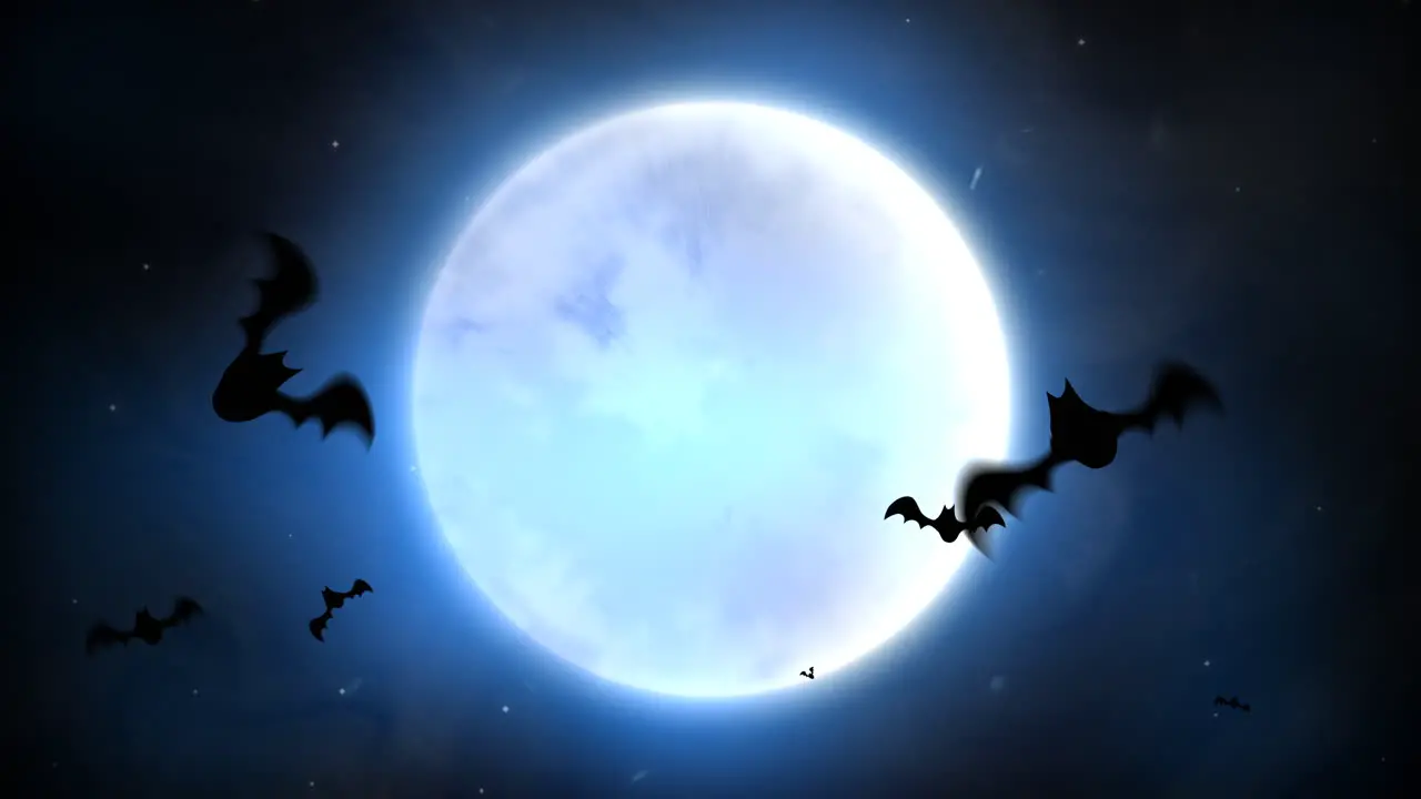 Halloween background animation with bats and moon